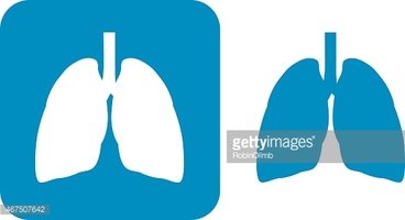 lungs clipart blue