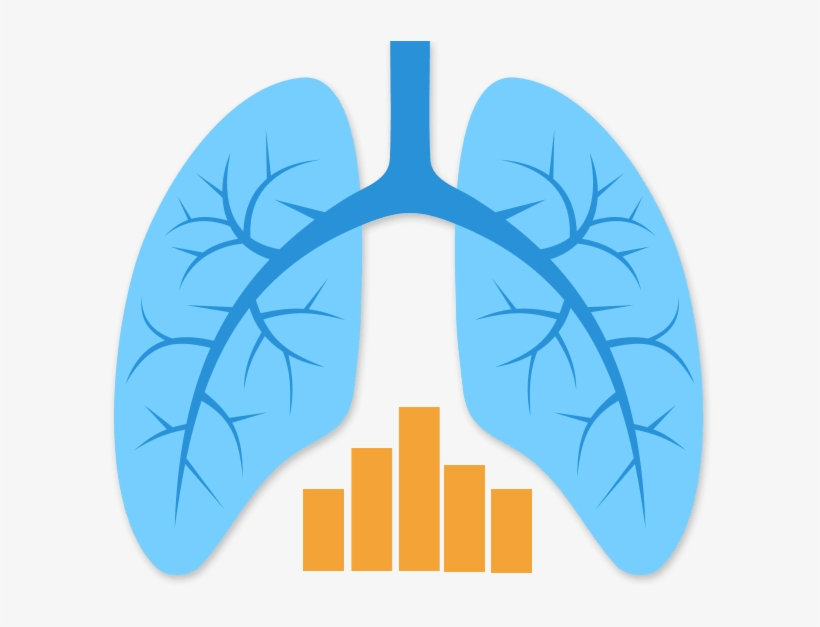 lungs clipart blue