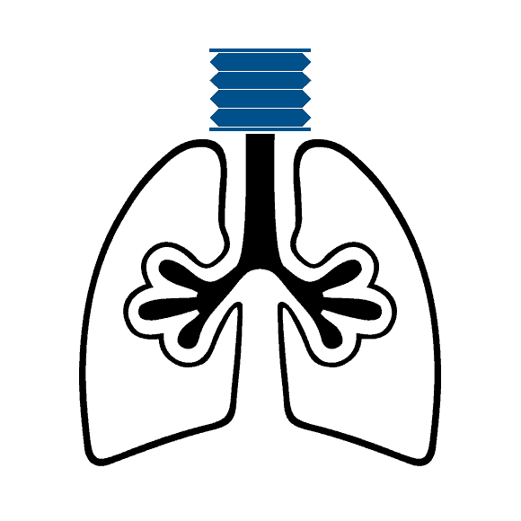 Ali ards ventilator research. Lungs clipart breathing rate