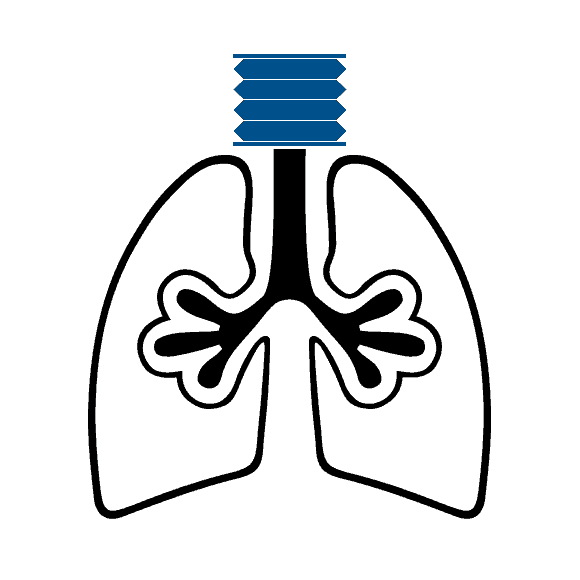 lungs clipart breathing rate
