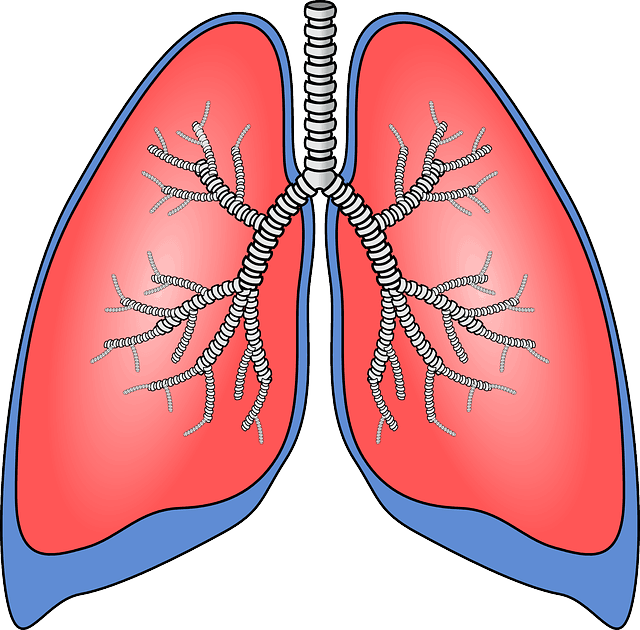 lungs clipart damaged lung