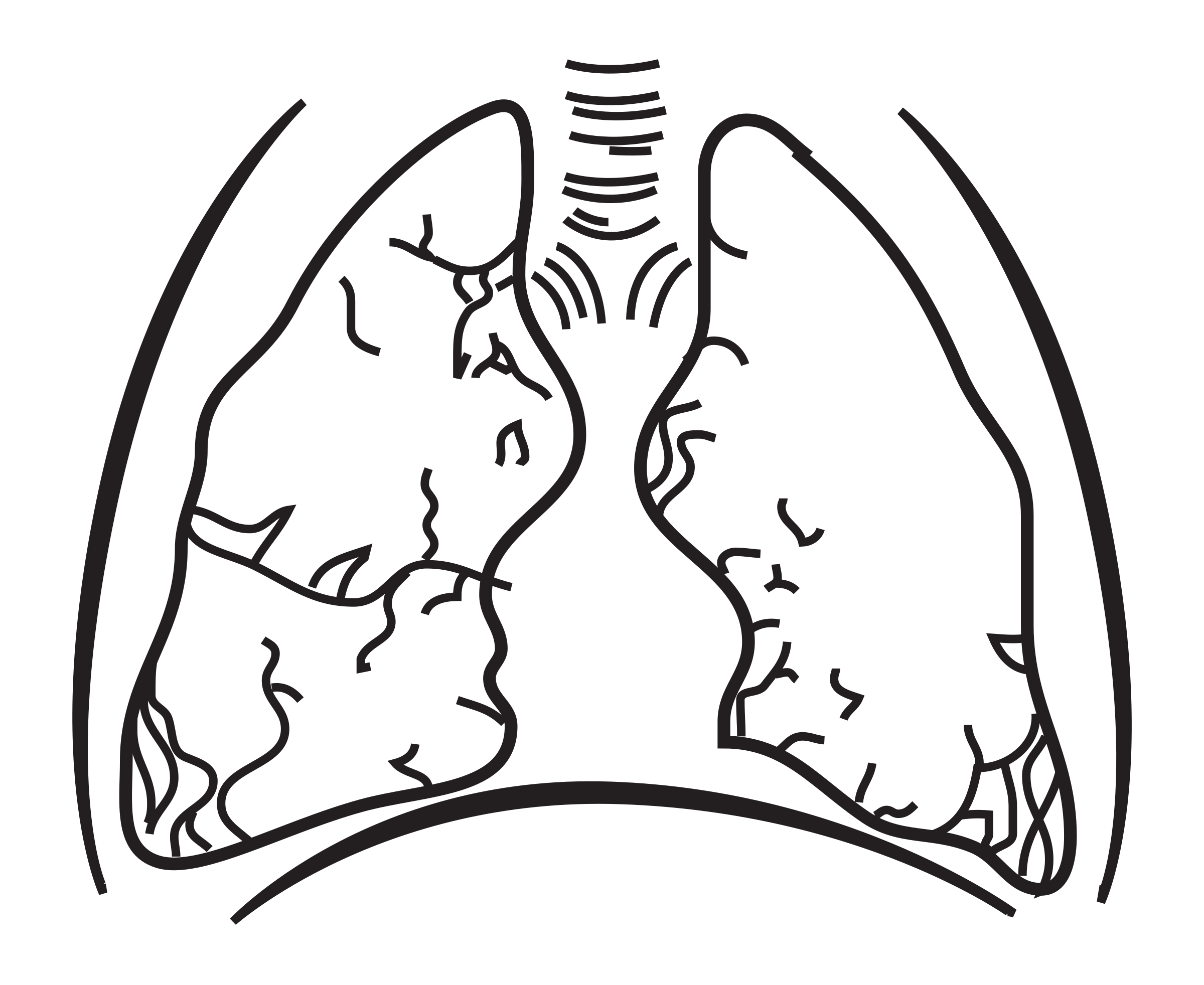 lungs clipart drawing