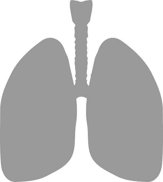 lungs clipart emoji