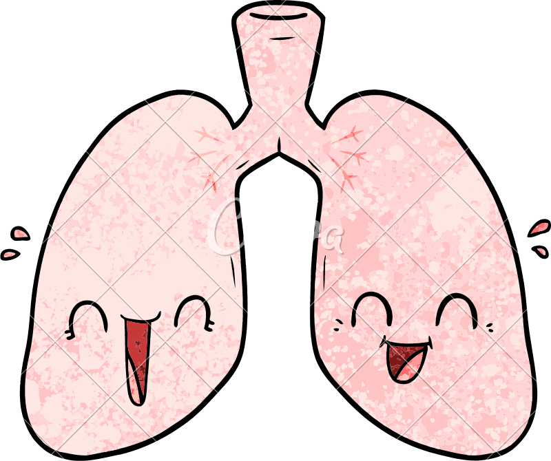 lungs clipart happy lung
