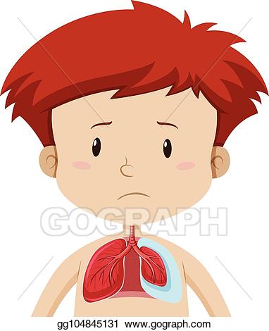 lungs clipart kid
