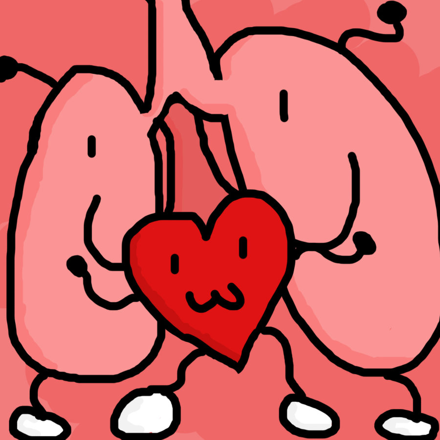 Lungs clipart kid. Cartoon free download best