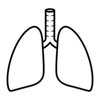 lungs clipart lung outline