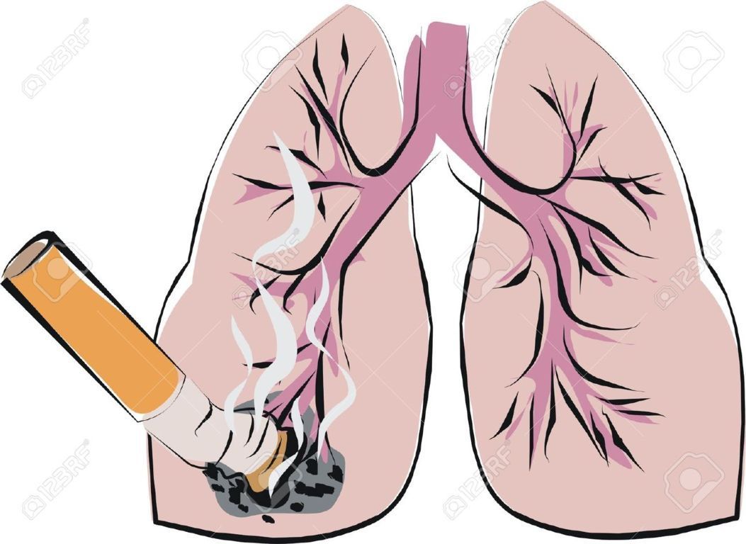lungs clipart lung smoker