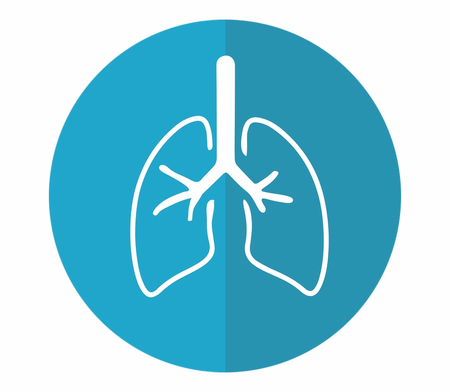 lungs clipart month