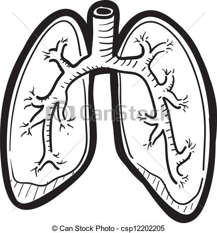 lungs clipart pair