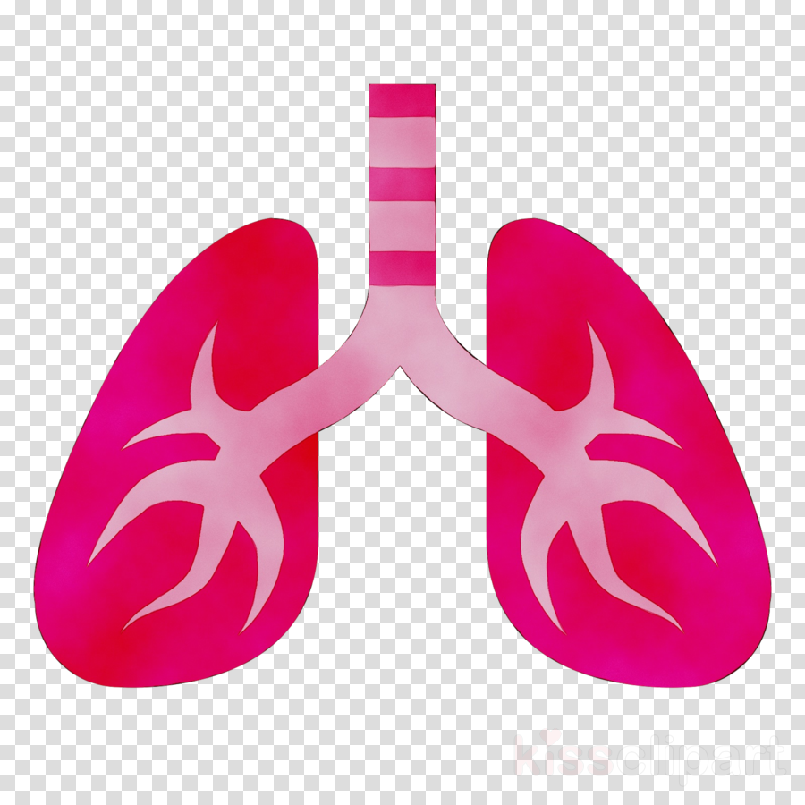 lungs clipart pink