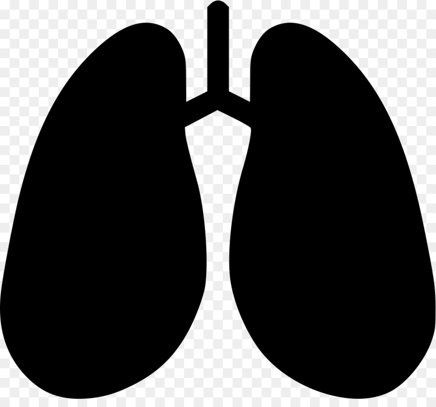 lungs clipart pulmonology