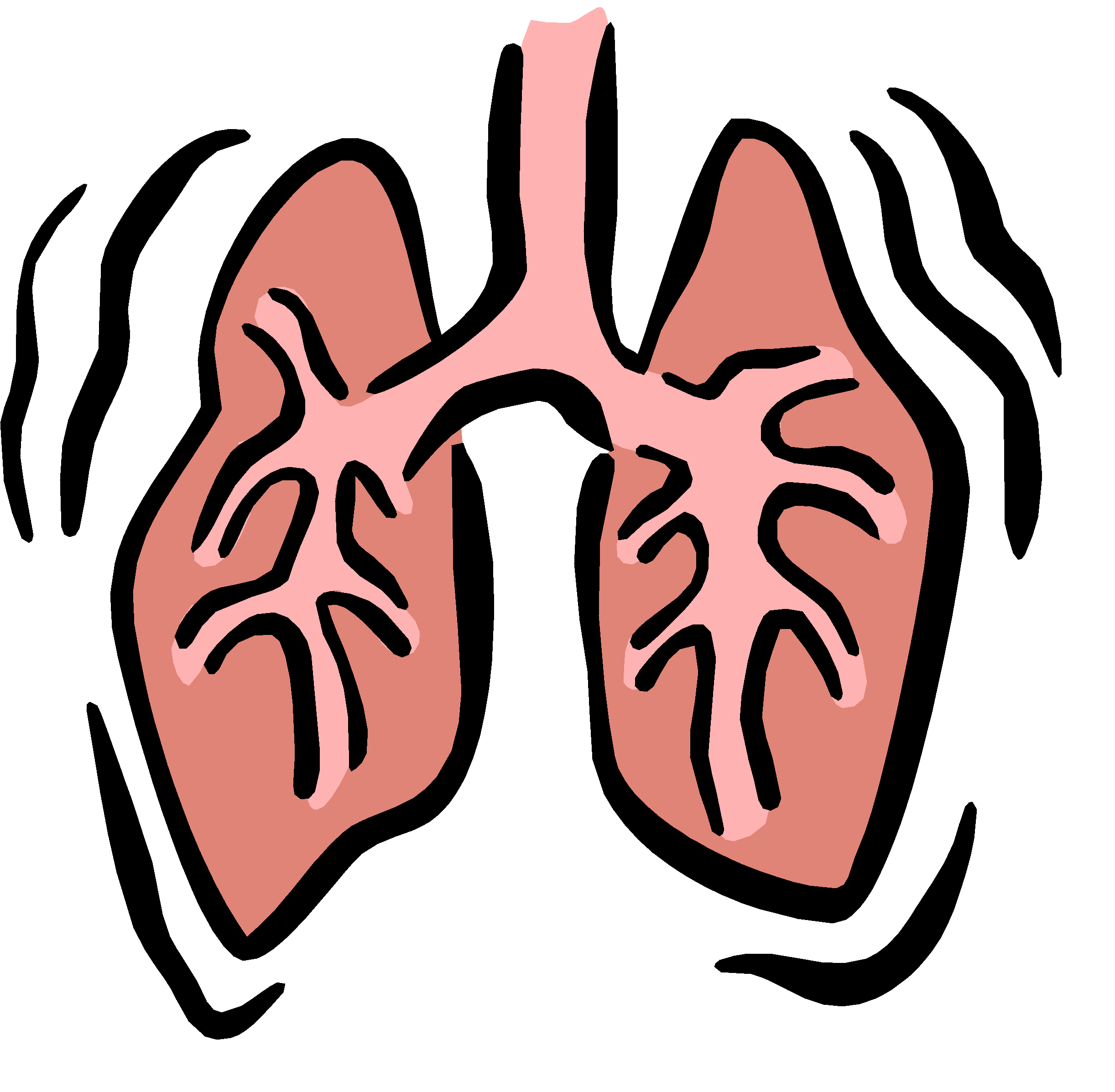 lungs clipart red