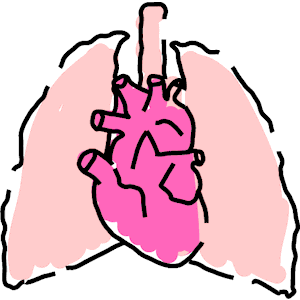 lungs clipart small