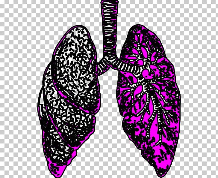 lungs clipart small