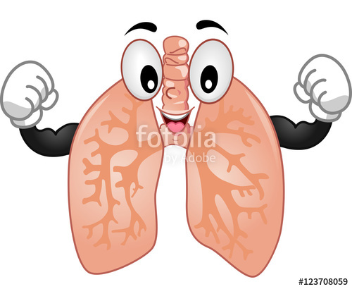 lungs clipart strong