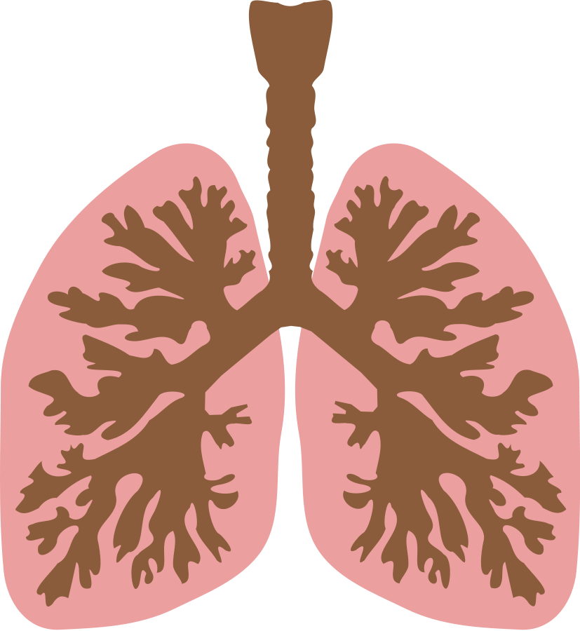 Clipground. Lungs clipart surrealism