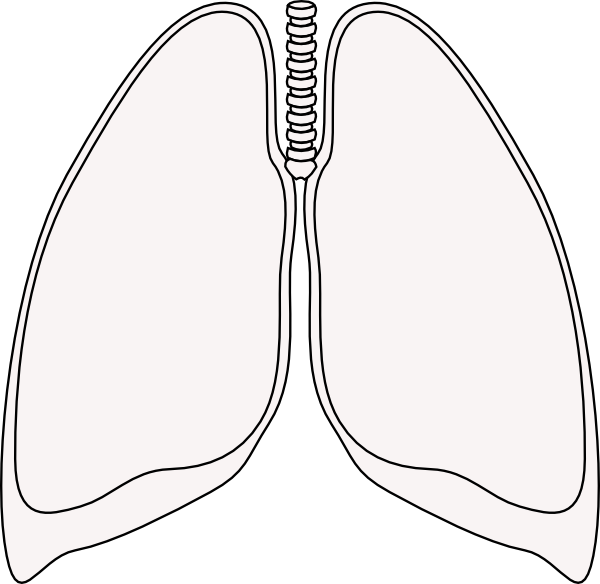 Lungs clipart surrealism. Lung clipground clear clip