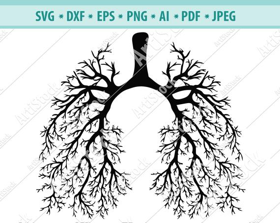 Human lung flowery silhouette. Lungs clipart svg