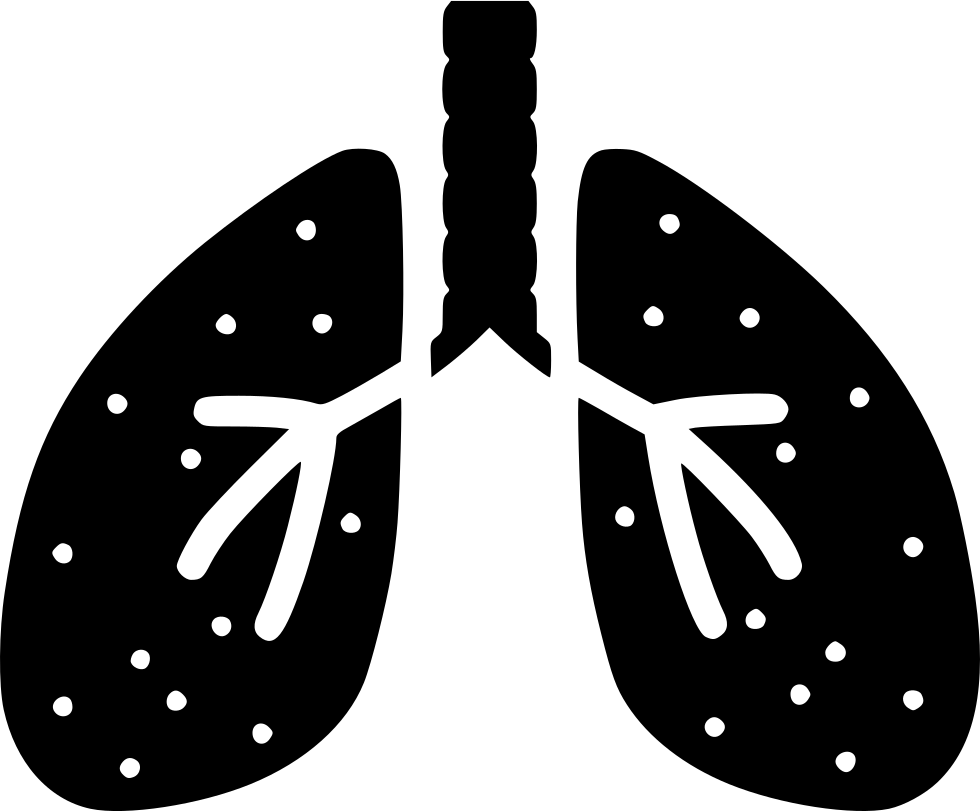 Png icon free download. Lungs clipart svg