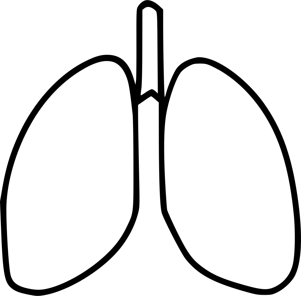 Lungs clipart svg. Png icon free download