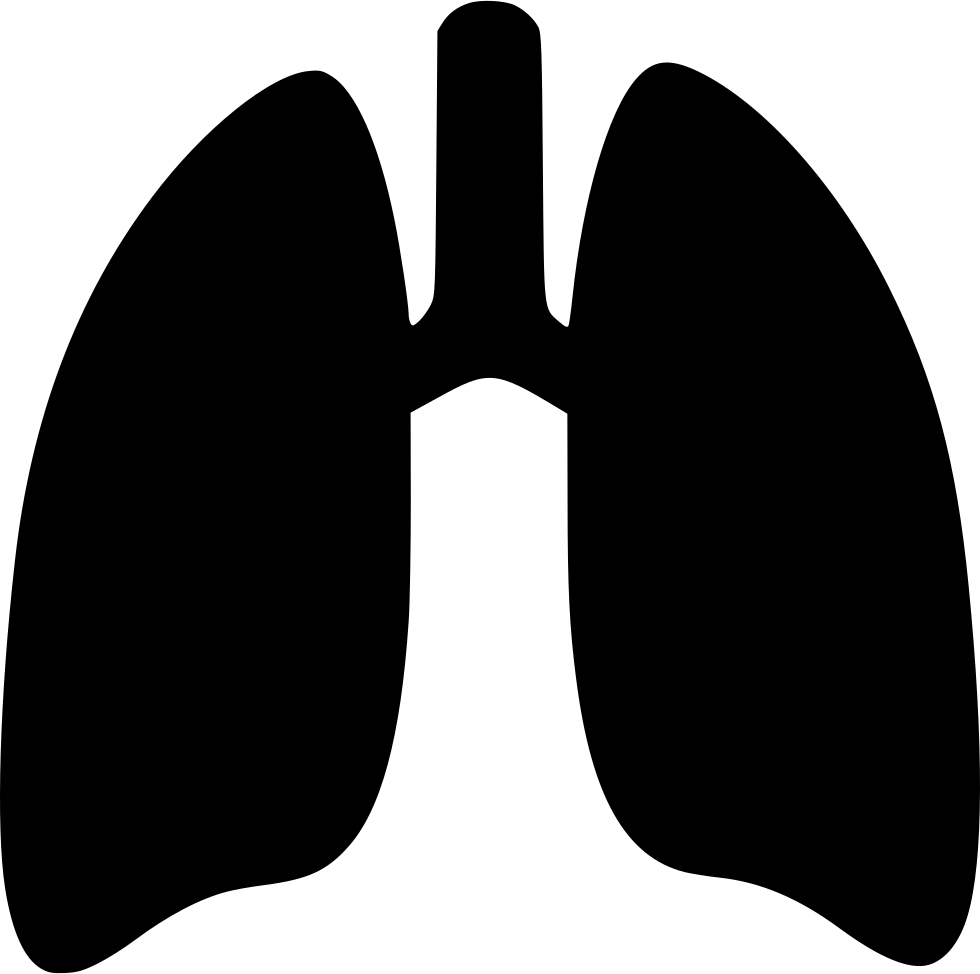 Lungs clipart svg. Png icon free download