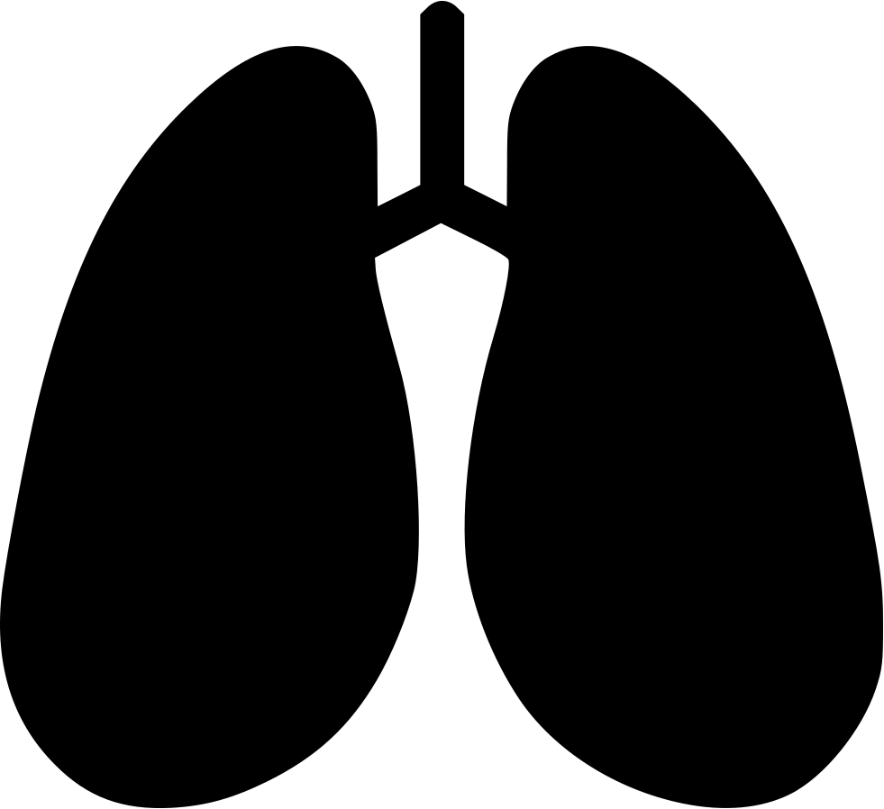 Anatomy detoxification hepatology breathe. Lungs clipart svg