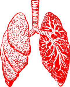 lungs clipart tb patient