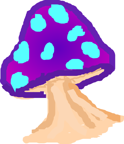 Mushrooms purple mushroom