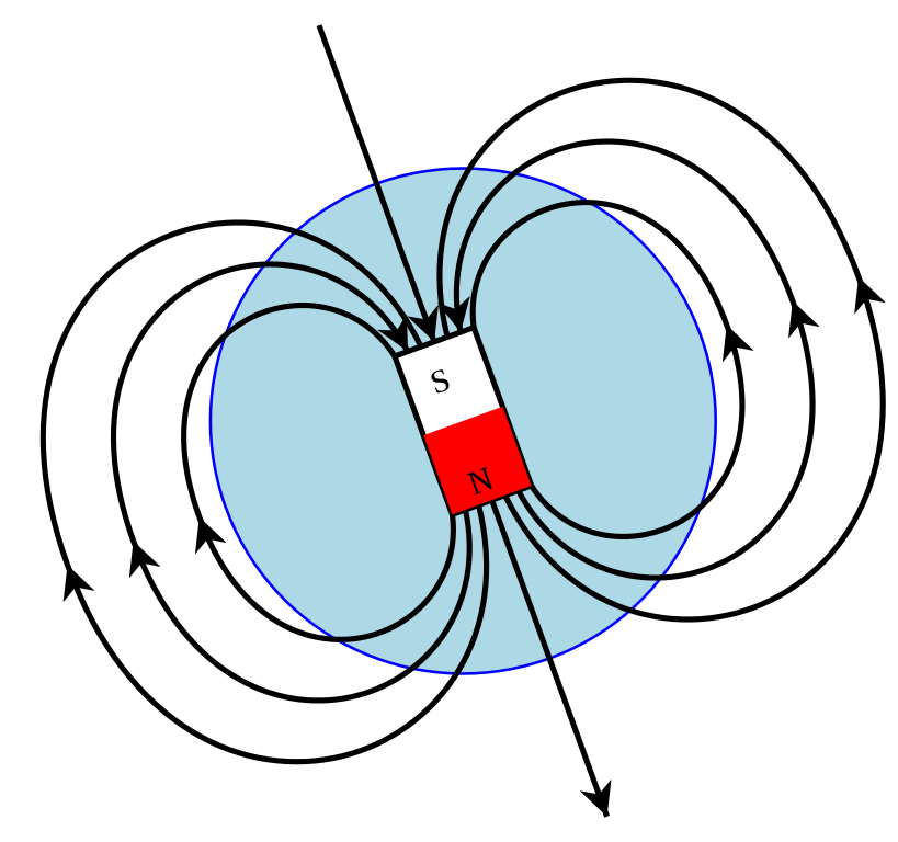 Magnet magnetic pole
