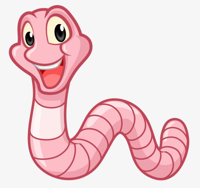 Worm clipart cool. Cartoon earthworm png 