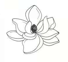 magnolia clipart black and white
