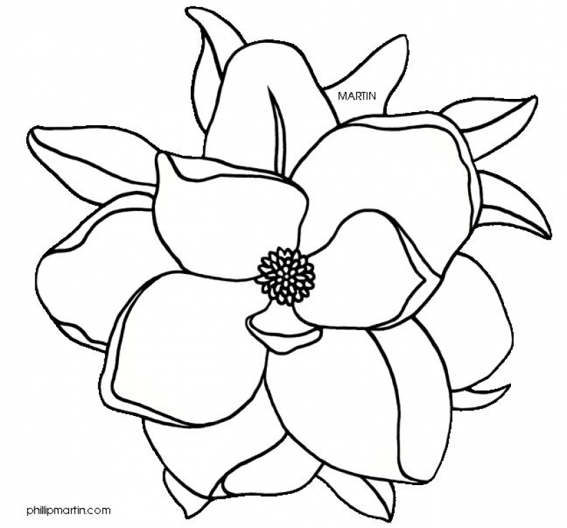 magnolia clipart black and white