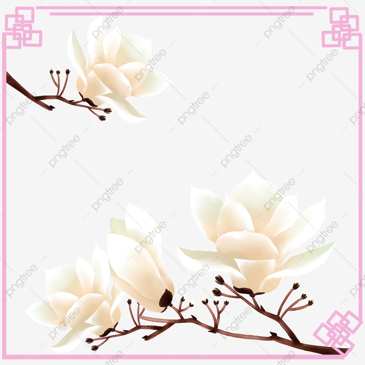 magnolia clipart border