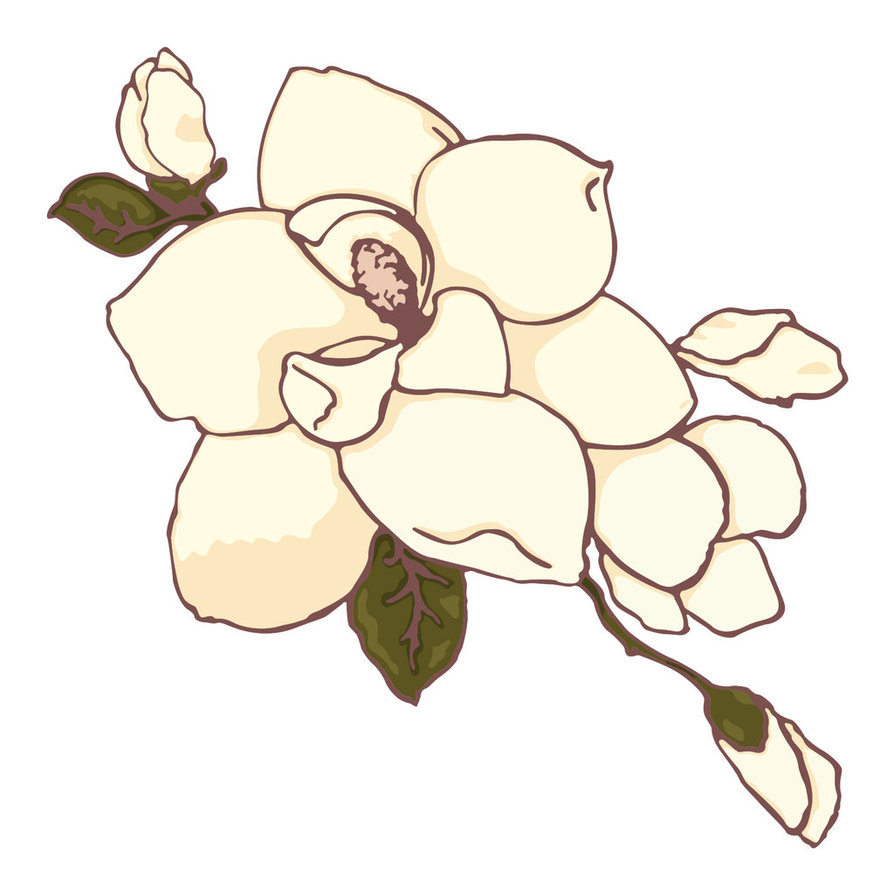 magnolia clipart cartoon