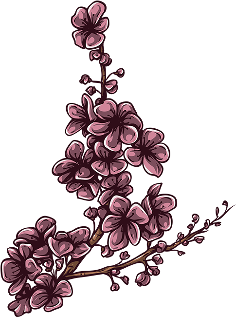 magnolia clipart illustration