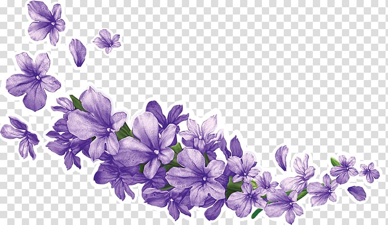 magnolia clipart lavender sprig
