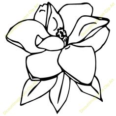 Magnolia clipart magnolia tree.  best art reference