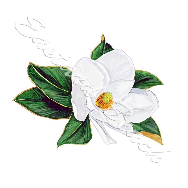 magnolia clipart state louisiana
