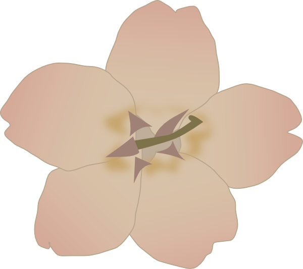 magnolia clipart svg