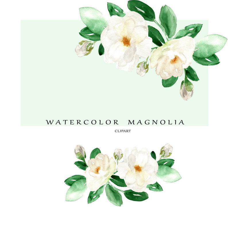 magnolia clipart white floral