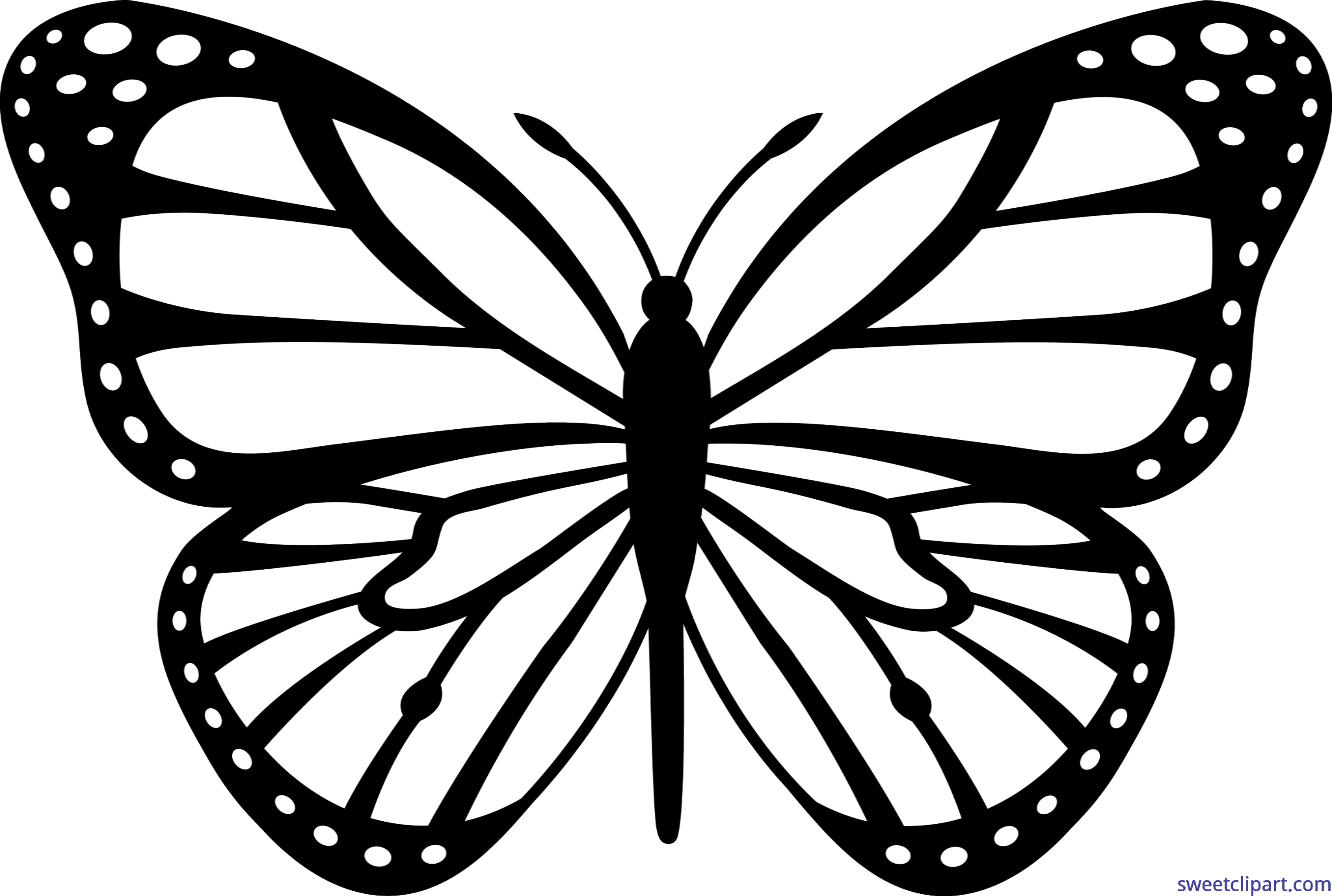 moth clipart black and white