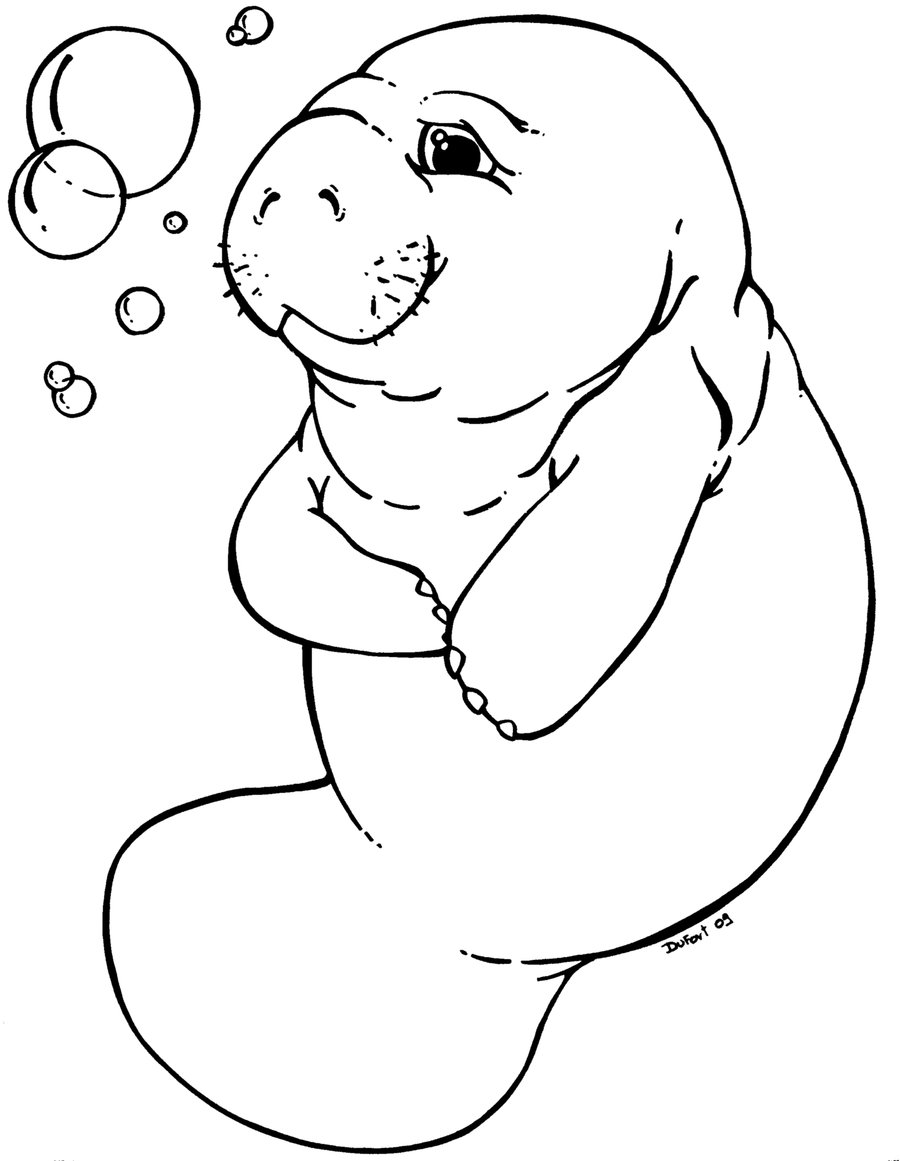 manatee clipart black and white
