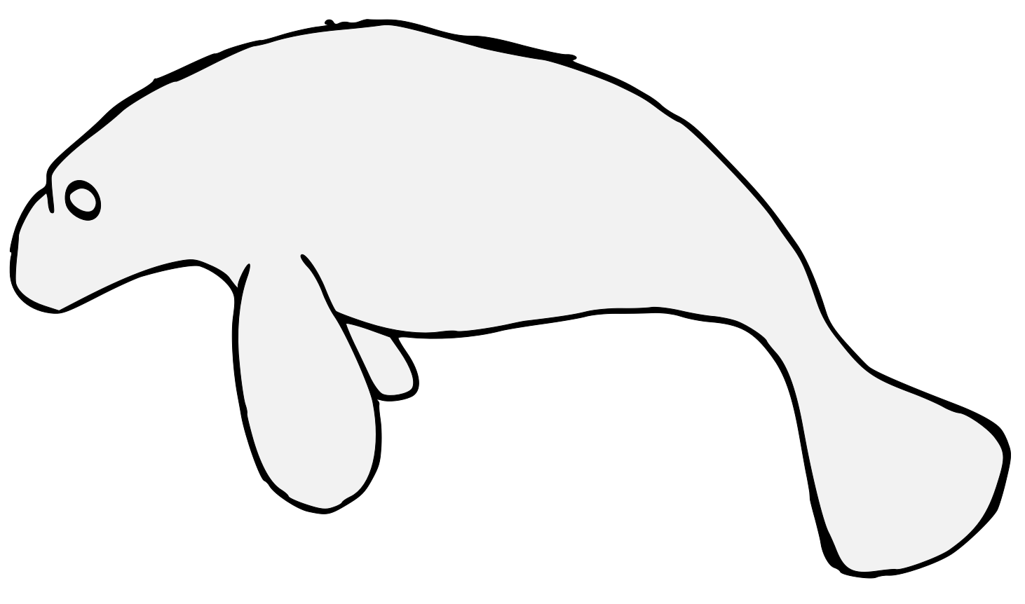 manatee clipart dugong