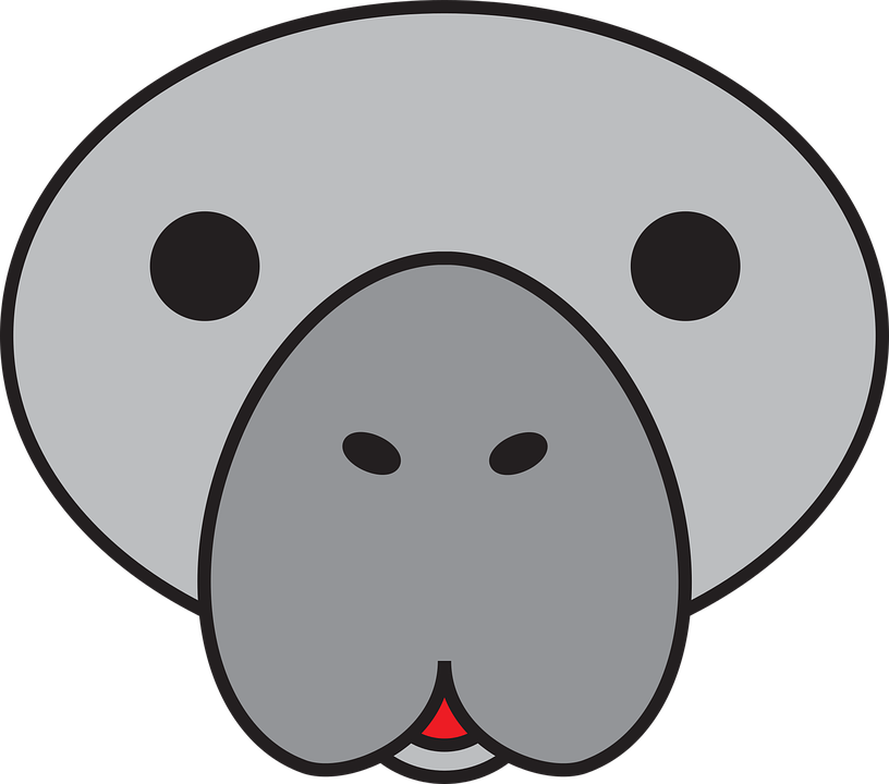 manatee clipart florida state