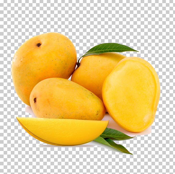 mango clipart alphonso