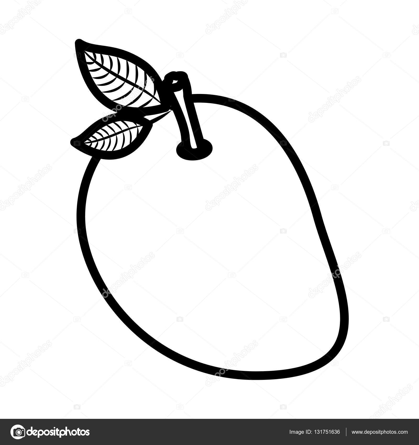 mango clipart artistic