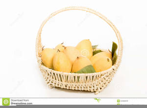 mango clipart basket mango