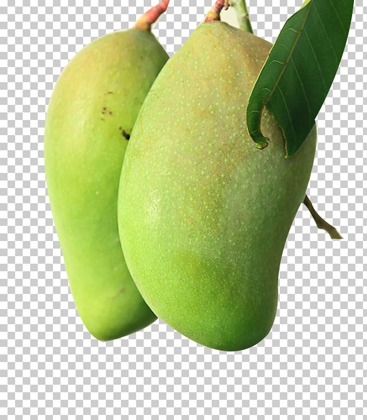 mango clipart big