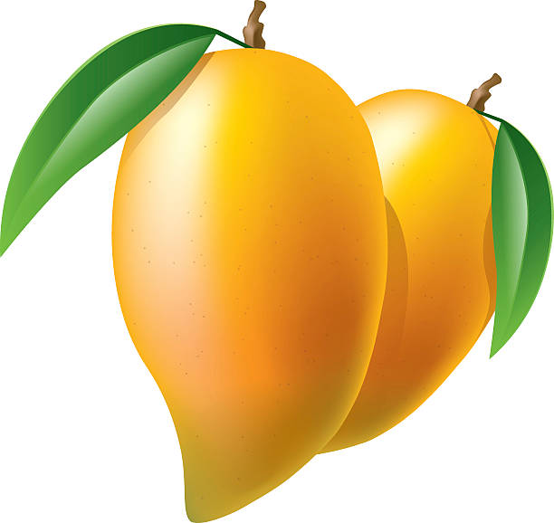 mango clipart bunch